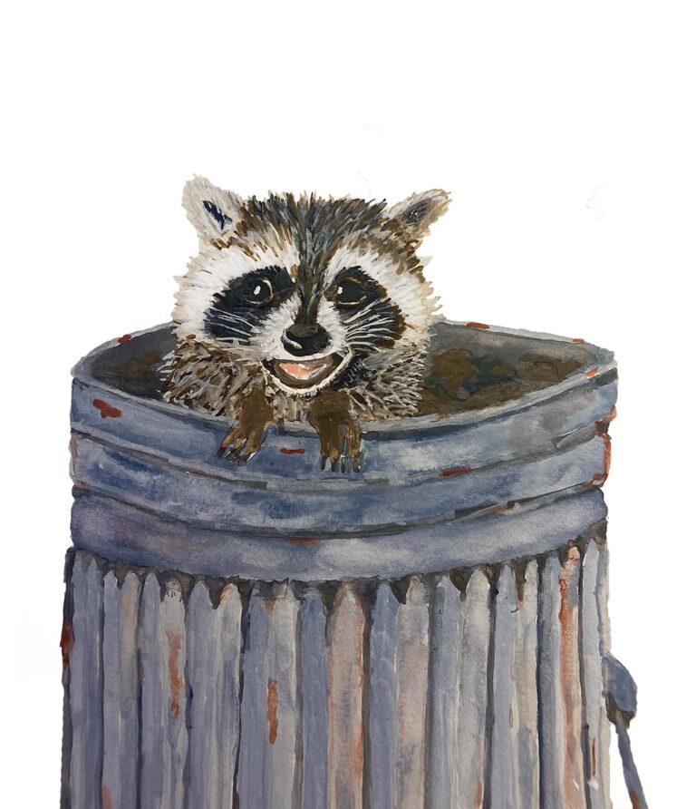 Raccoon watercolor painting