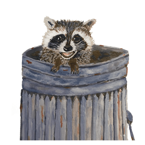 Raccoon Bandit of the Trash