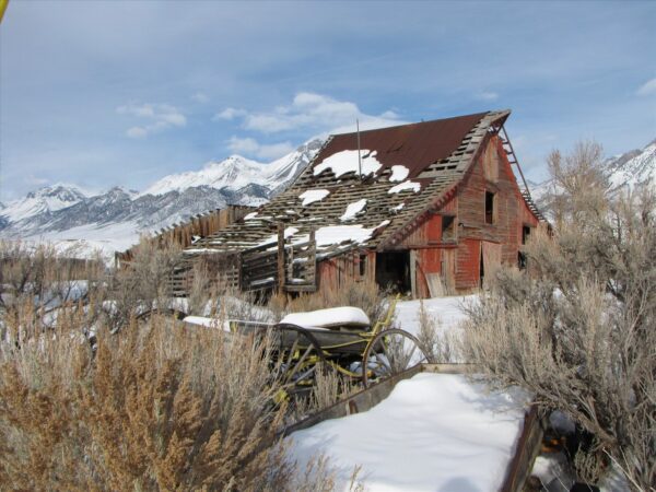 An old Idaho barn in the snow